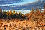 Marsh At Sunrise_08044